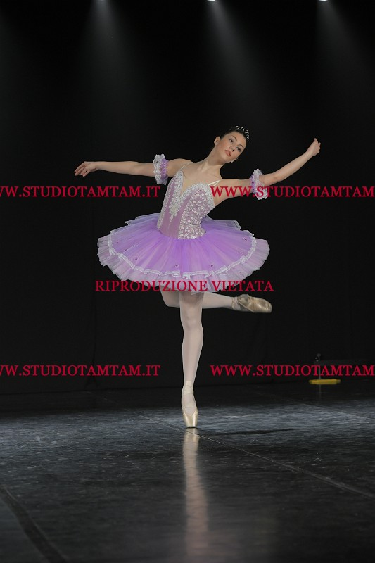 DSC_1336.JPG