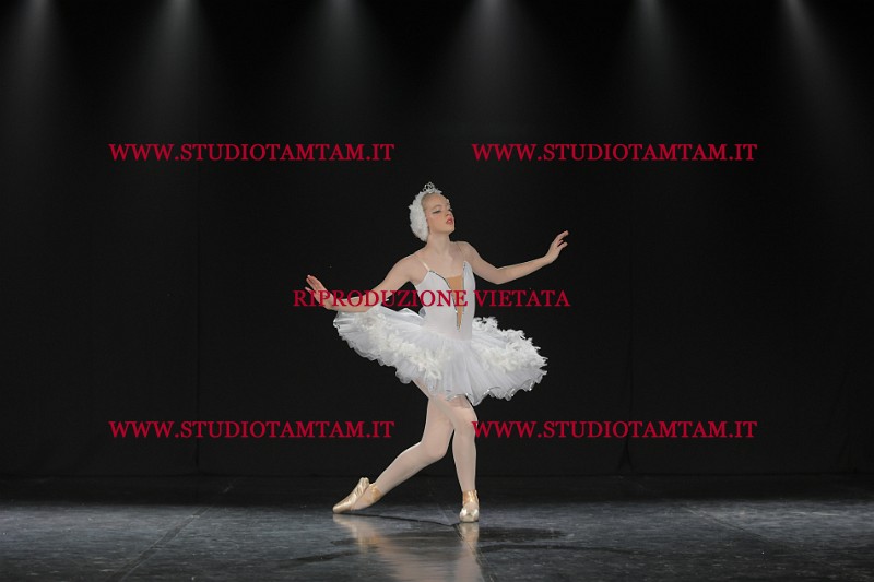 DSC_1496.JPG