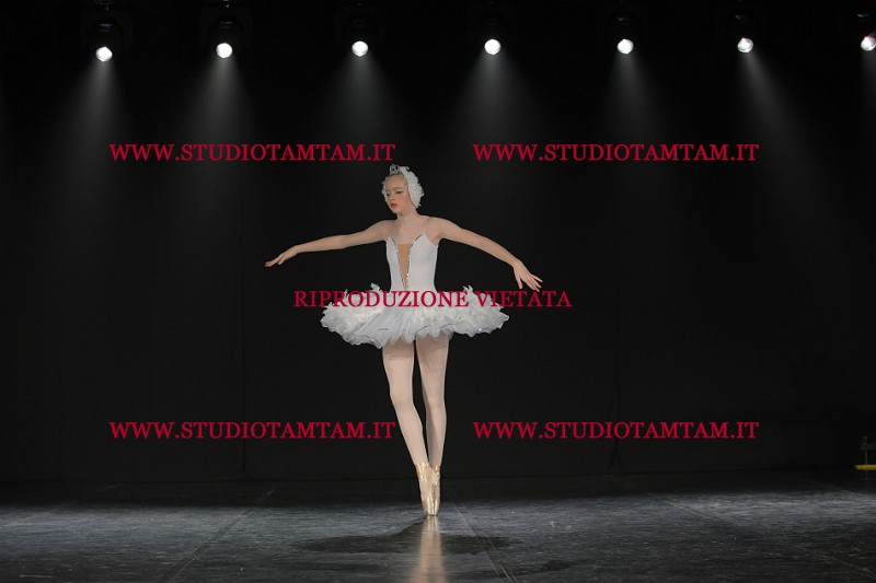 DSC_1516.JPG