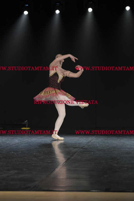 DSC_1644.JPG