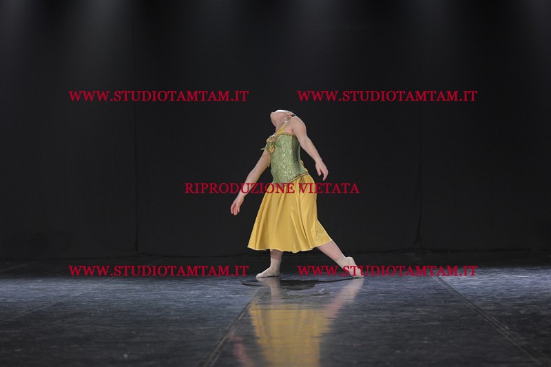 DSC_3675.JPG