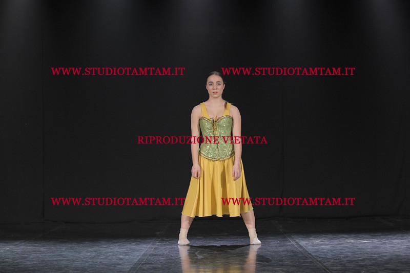 DSC_3729.JPG