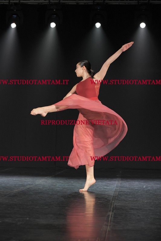 DSC_3812.JPG