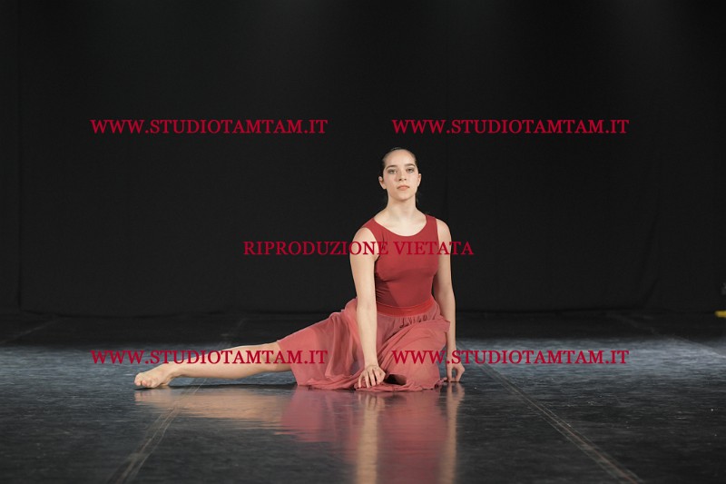 DSC_3857.JPG