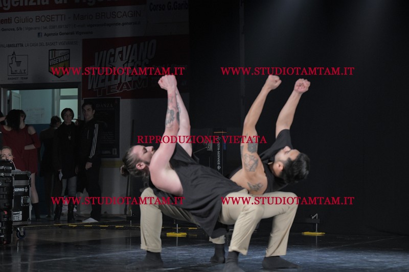 DSC_4135.JPG