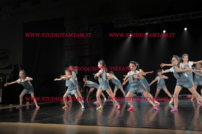 DSC_4617.JPG