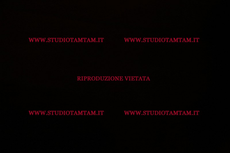 MAT_3961.JPG