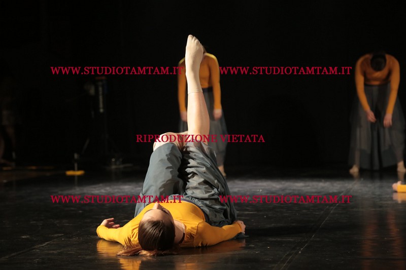 MAT_4524.JPG