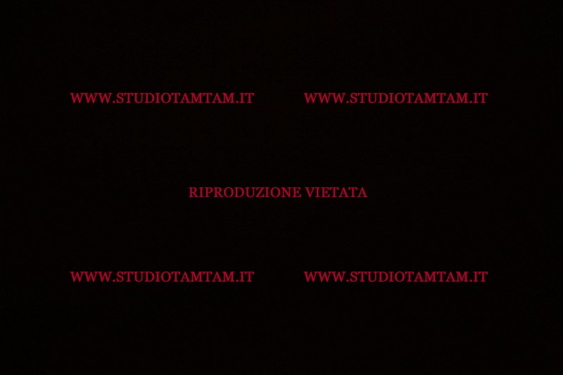 MAT_4772.JPG
