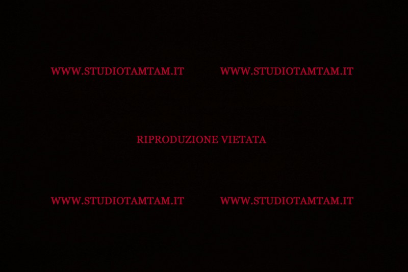 MAT_4773.JPG