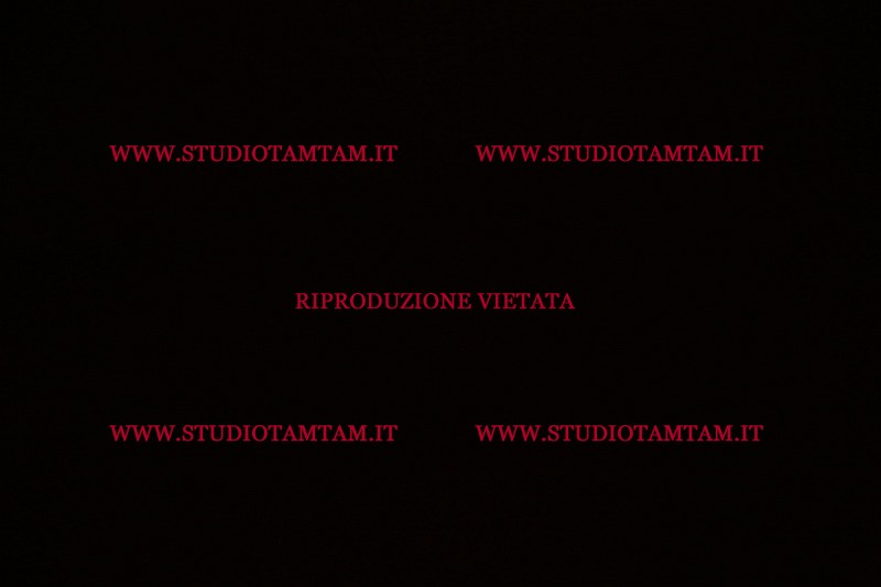 MAT_4834.JPG