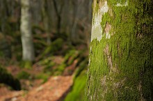 IMGB4128_c