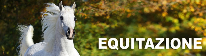 Equitazione